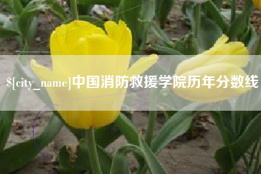孝感中国消防救援学院历年分数线