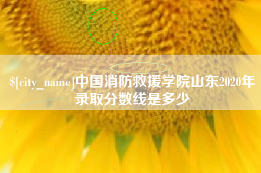 孝感中国消防救援学院山东2020年录取分数线是多少