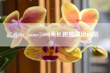 孝感5000米长跑国家运动员