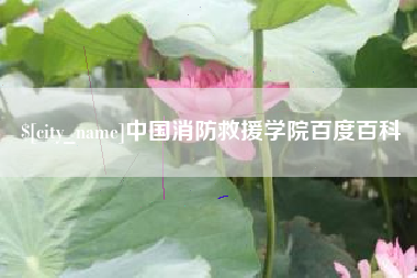 孝感中国消防救援学院百度百科