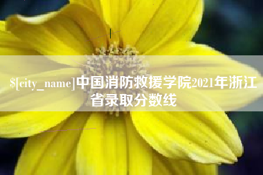 孝感中国消防救援学院2021年浙江省录取分数线