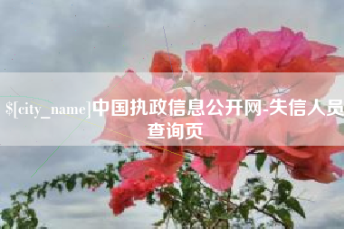 孝感中国执政信息公开网-失信人员查询页