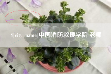 孝感中国消防救援学院 老师