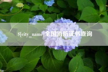孝感全国消防证书查询