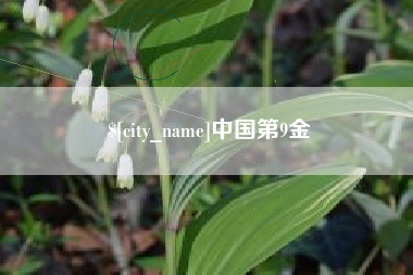 孝感中国第9金