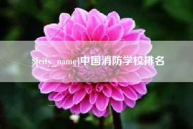 孝感中国消防学校排名