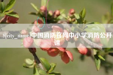 孝感中国消防官网中小学消防公开课