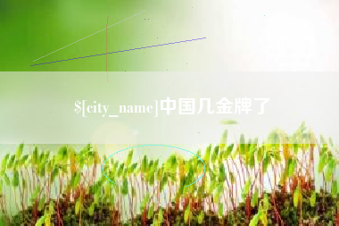 孝感中国几金牌了