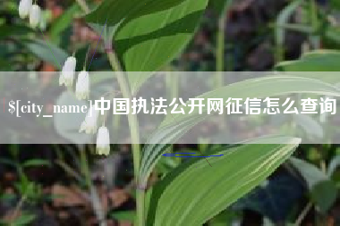 孝感中国执法公开网征信怎么查询