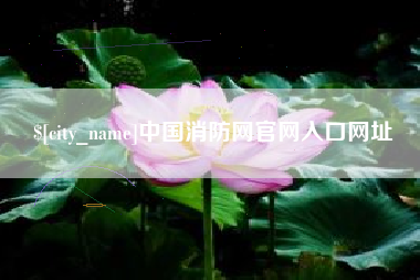 孝感中国消防网官网入口网址