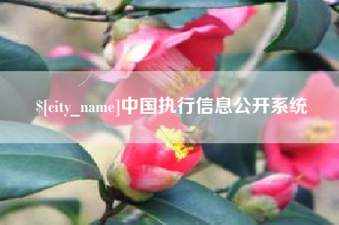 孝感中国执行信息公开系统