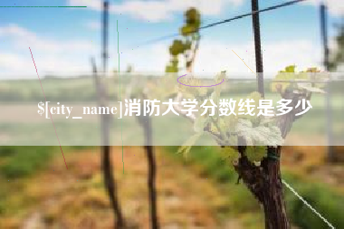 孝感消防大学分数线是多少