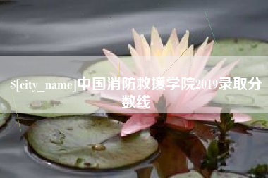 孝感中国消防救援学院2019录取分数线