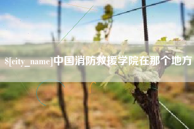 孝感中国消防救援学院在那个地方