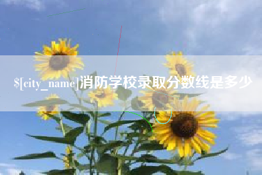 孝感消防学校录取分数线是多少