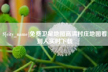 孝感免费卫星地图高清村庄地图看到人实时下载