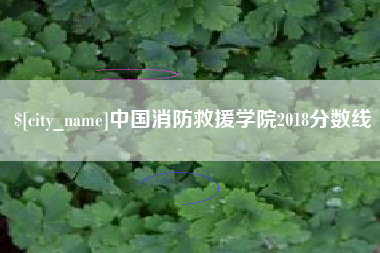 孝感中国消防救援学院2018分数线