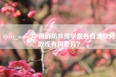 孝感中国消防救援学院各省录取分数线有何差异？