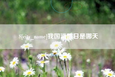孝感我国消防日是哪天