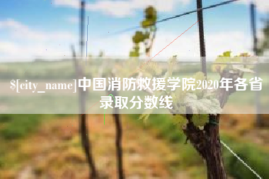孝感中国消防救援学院2020年各省录取分数线