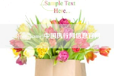 孝感中国执行网信息官网