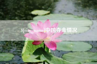 孝感中国夺金情况