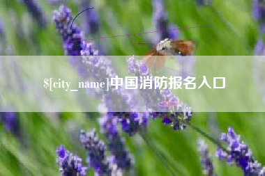 孝感中国消防报名入口