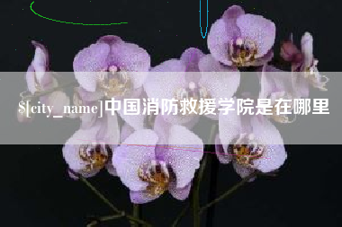 孝感中国消防救援学院是在哪里