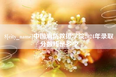 孝感中国消防救援学院2024年录取分数线是多少