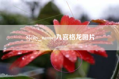 孝感九宫格龙图片