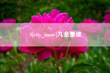 孝感九金是谁