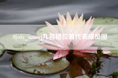 孝感九宫格位置代表成员图