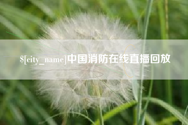 孝感中国消防在线直播回放