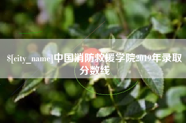 孝感中国消防救援学院2019年录取分数线