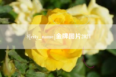 孝感金牌图片2021