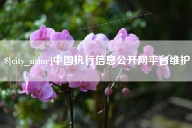 孝感中国执行信息公开网平台维护