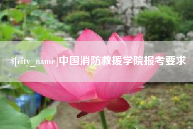 孝感中国消防救援学院报考要求