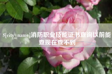 孝感消防职业技能证书查询以前能查现在查不到