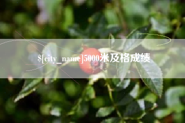 孝感5000米及格成绩