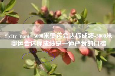 孝感5000米奥运会达标成绩-5000米奥运会达标成绩是一道严苛的门槛