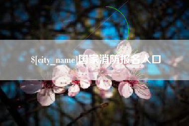 孝感国家消防报名入口