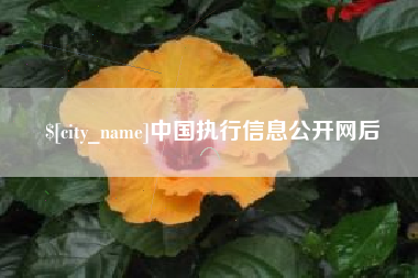 孝感中国执行信息公开网后