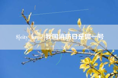 孝感我国消防日是哪一号