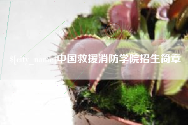 孝感中国救援消防学院招生简章