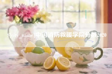 孝感中国消防救援学院分数2020