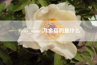 孝感九金指的是什么