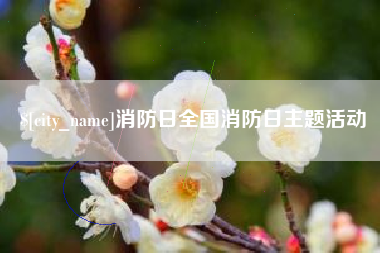 孝感消防日全国消防日主题活动