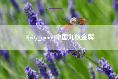 孝感中国九枚金牌