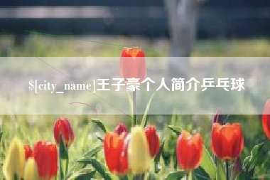 孝感王子豪个人简介乒乓球