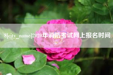 孝感2020年消防考试网上报名时间